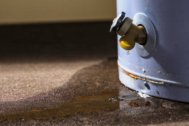 Best 24-hour water damage restoration  in Greendale, WI