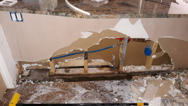 Best Water damage cleanup near me  in Greendale, WI