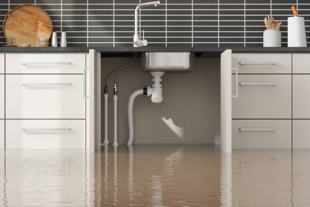 Best Mold removal after water damage  in Greendale, WI