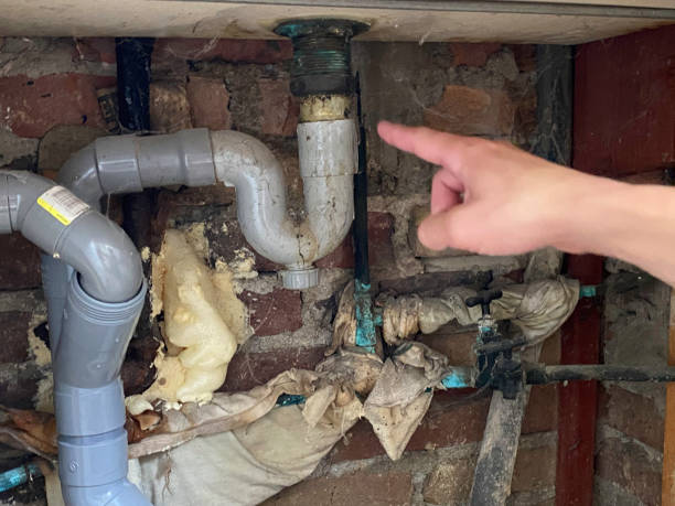 Best Sewage cleanup and water damage restoration  in Greendale, WI