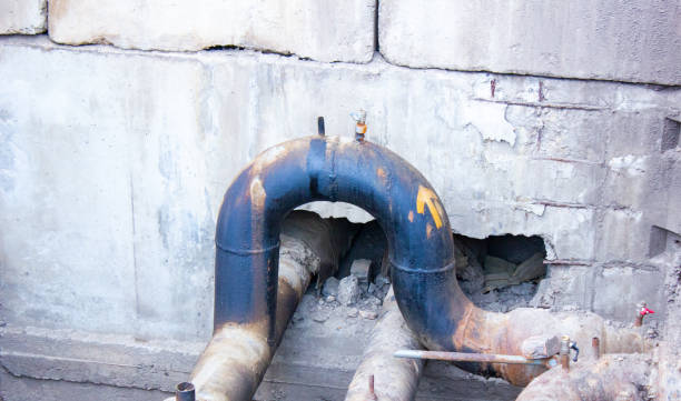 Best Flood damage cleanup  in Greendale, WI